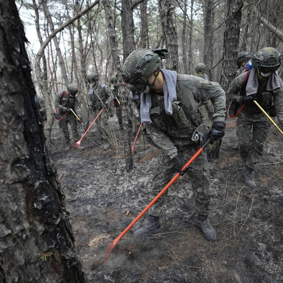 South Korea's worst wildfires are now almost contained following rain and cooler weather
